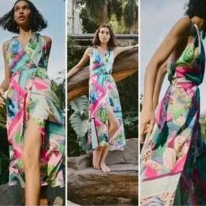 Zara Vibrant Tropical Dress - Pink and Blue